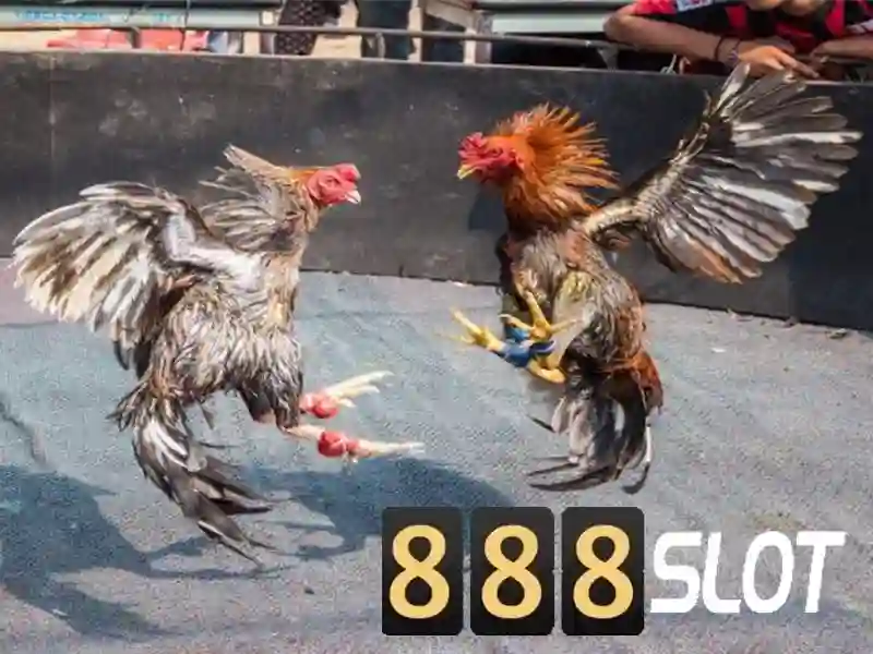 💎xn88lz baby xn88lz baby xn88💎