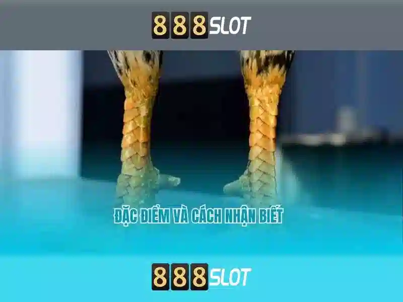  tài khoản - 888slot