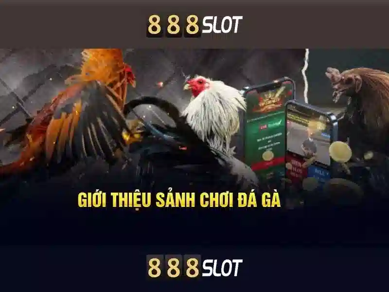 ưu đãi - 888slot