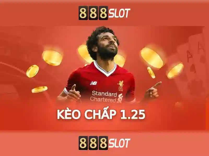 💎keo nha cai qatar vs ecuador💎