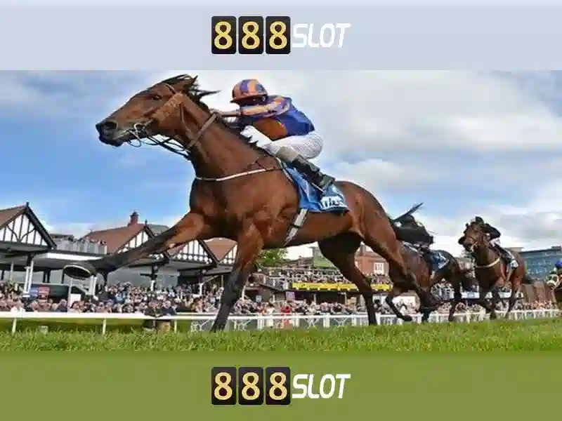 💎free xn88 100💎