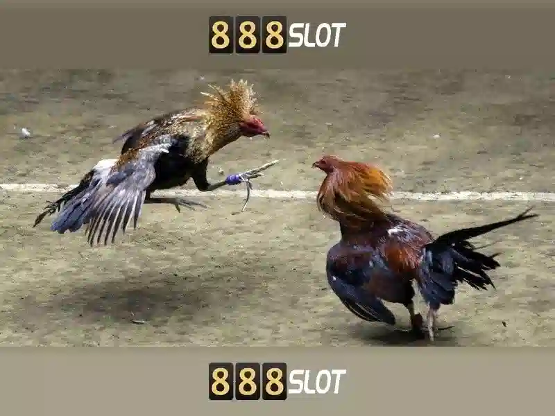 tải apk 888slot - 888slot