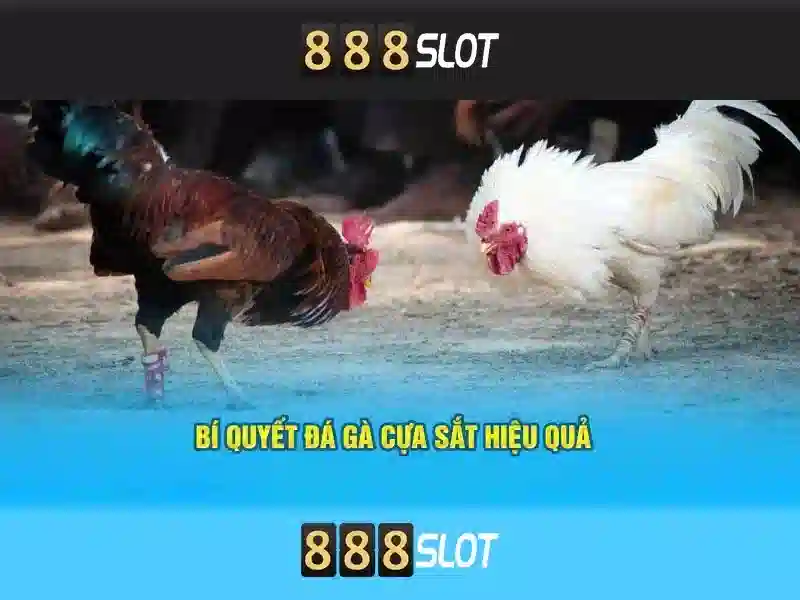 💎sv88 vin💎 - nhà cái sv88 lừa đảo - sv88 vn com