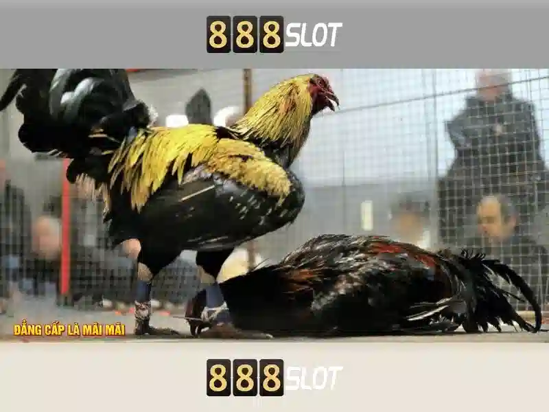 💎8xbet nhà cái💎 - 8xbet nhà cái