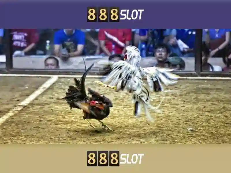 💎888slot city history💎