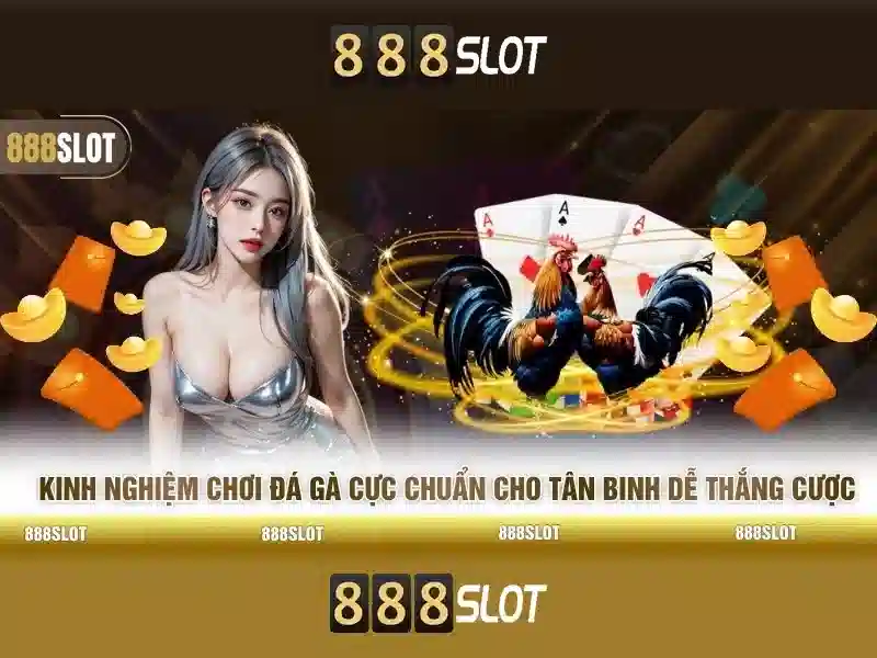 💎888 slot tips💎