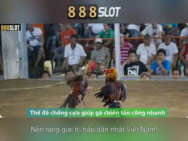 💎manclub blog💎 - manclub 50k - manclub poker