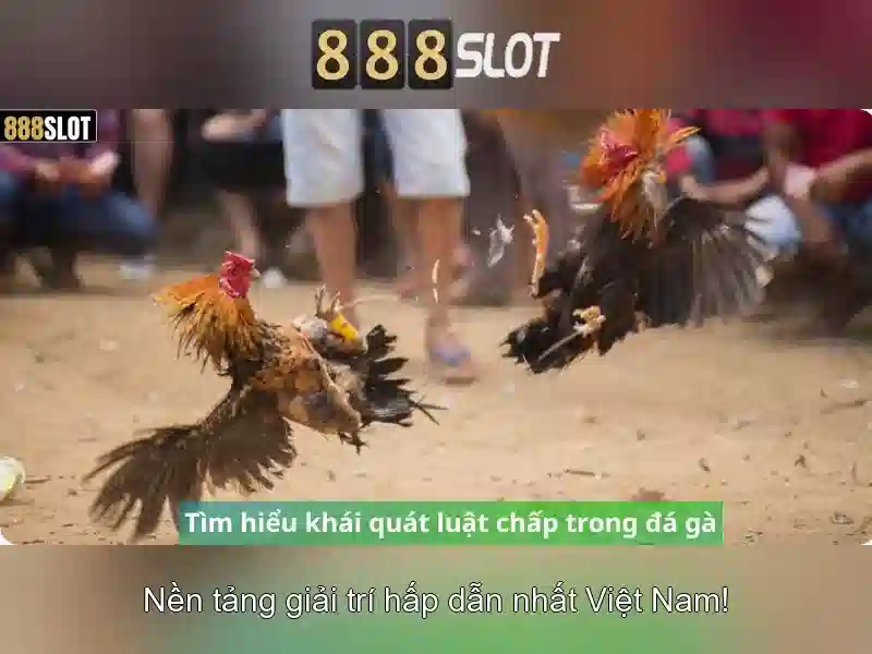 💎hình ảnh của 888 slot💎