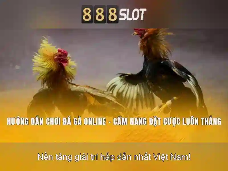 💎vương nhất bác cửa hàng lướt sóng mùa hè💎
