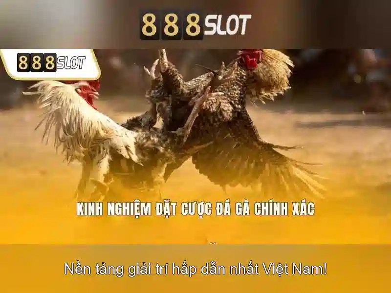 💎nhà cái f79💎